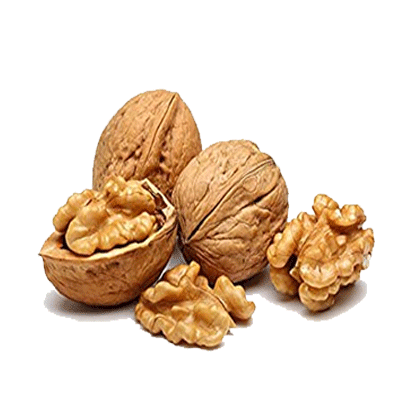 Walnut